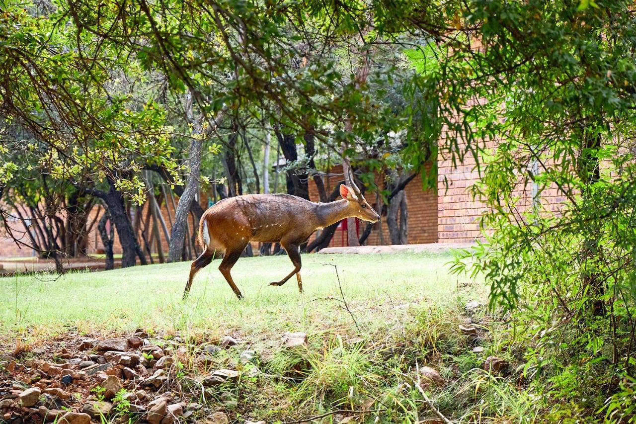 First Group Magalies Park Hotel Hartbeespoort Eksteriør billede